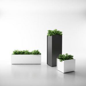 Flower Pot